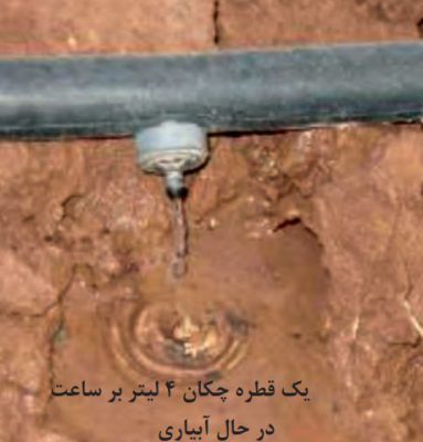 قطره چکان در سیستم آبیاری
